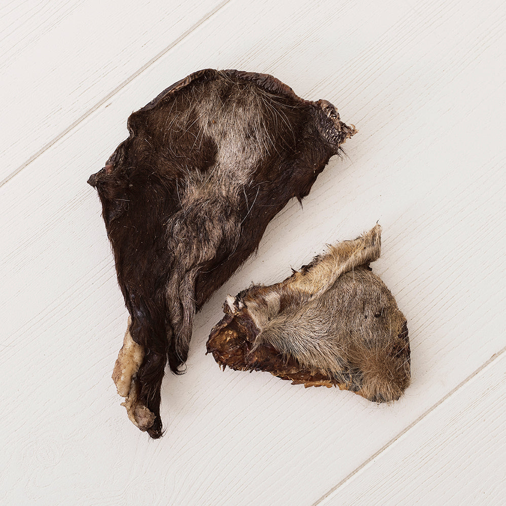 Emmzo - Oksekinn med pels